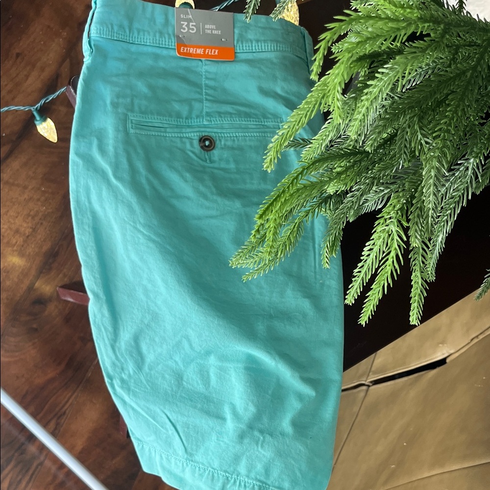 American Eagle Outfitters Turquoise Flat Front Shorts